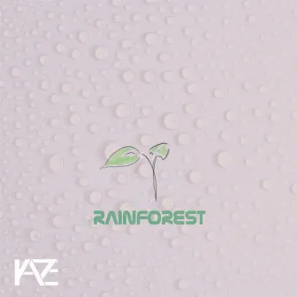 Rainforest by Cody Kamikaze