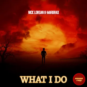 What I Do by Nick Lorsan