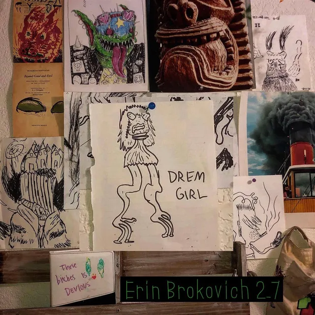 Erin Brokovich 2.7