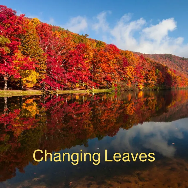 Changing Leaves