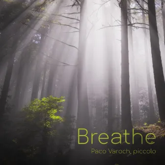 Breathe by Unknown Artist