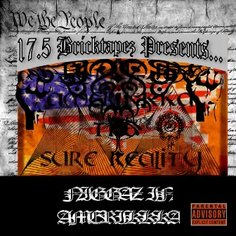 Niggaz In Amerikkka by Chef Smoke