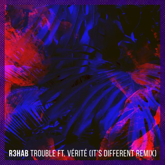 Trouble - It's Different Remix