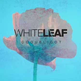 Coquelicot by White Leaf