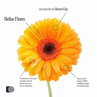 Bellas Flores by Stereo Guy