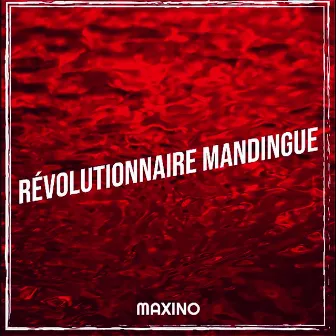 Révolutionnaire Mandingue by Maxino