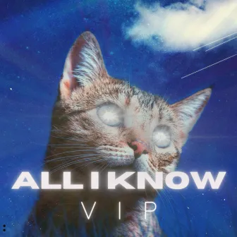 All i Know (VIP) by DELAX