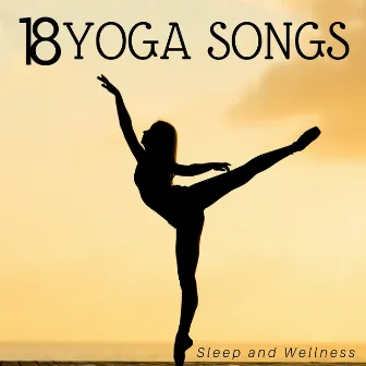 18 Yoga Songs: Sleep and Wellness, Healing Sounds for Reiki & Massage, Zen New Age Music, Relaxing Yoga Music for Deep Relaxation by Unknown Artist