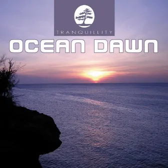 Ocean Dawn by Levantis & Friends