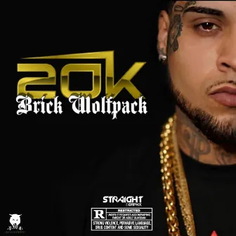 20K by Brick Wolfpack