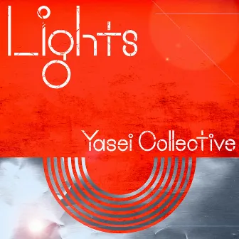 Lights by Yasei Collective