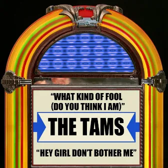 What Kind Of Fool (Do You Think I Am) / Hey Girl Don't Bother Me by The Tams