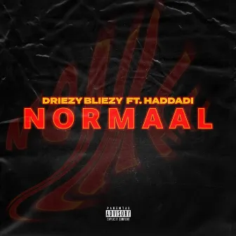 Normaal by Driezy Bliezy