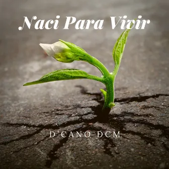 Nací Para Vivir by D'CANO DCM