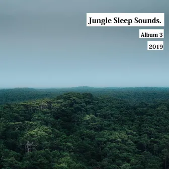 Rain and Jungle Sound for Sleep by Jungle Sleep Sounds