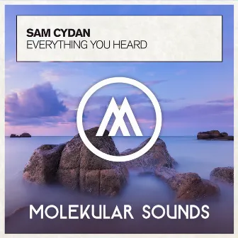 Everything You Heard by Sam Cydan