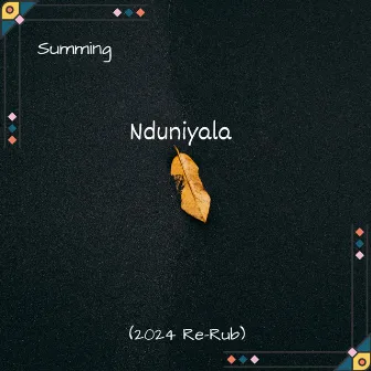 Nduniyala (2024 Re-Rub) by Summing