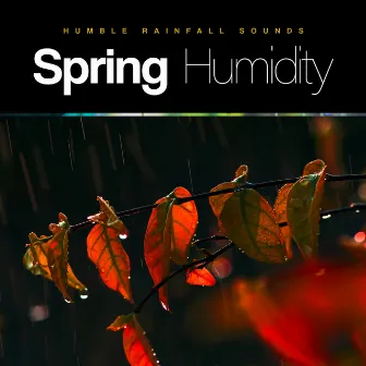 Spring Humidity by Humble Rainfall Sounds