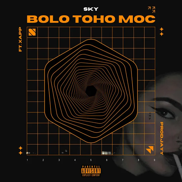 BOLO TOHO MOC