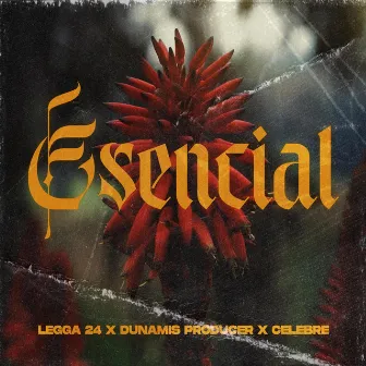 Esencial by Célebre