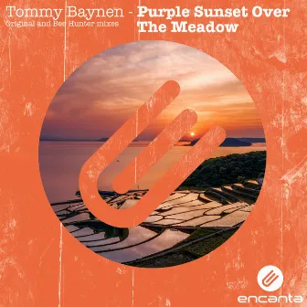 Purple Sunset Over the Meadow by Tommy Baynen