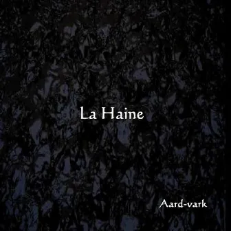 La Haine by Aardvark