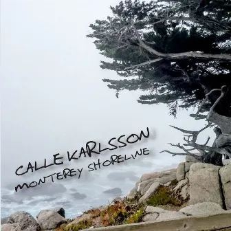 Monterey Shoreline by Calle Karlsson