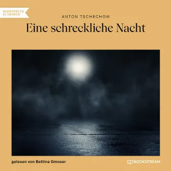 Eine schreckliche Nacht (Ungekürzt) by Bettina Gmoser