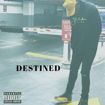 Destined by Fly Skinz