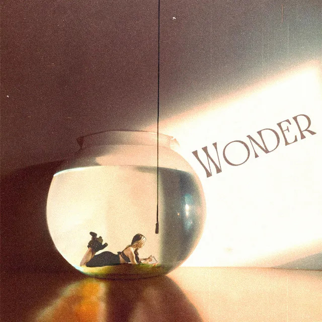 Wonder