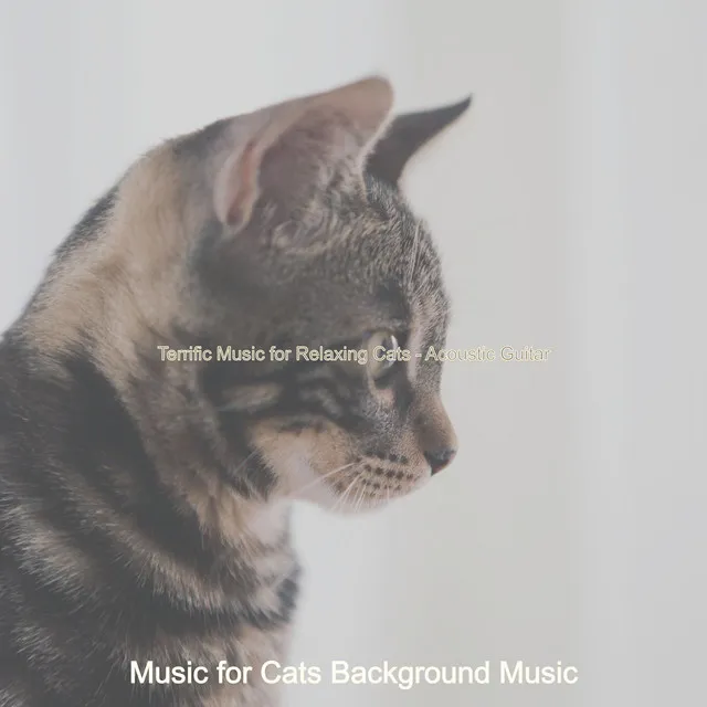 Terrific Music for Relaxing Cats - Acoustic Guitar