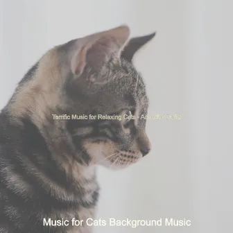 Terrific Music for Relaxing Cats - Acoustic Guitar by Music for Cats Background Music