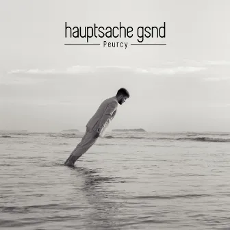 hauptsache gsnd by Peurcy