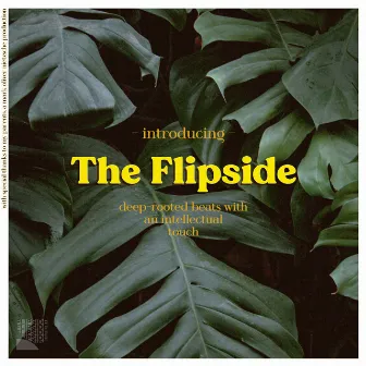 Introducing the Flipside by The Flipside