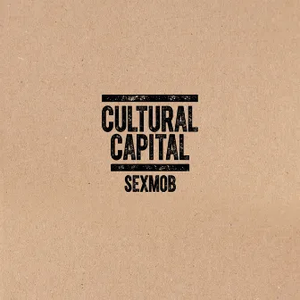 Cultural Capital by Steven Bernstein