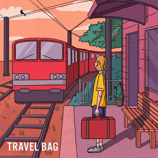 Travel Bag