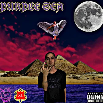 Purple Sea by Herme$