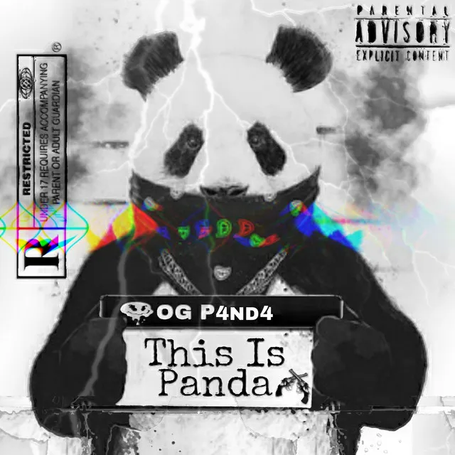 This Is Panda