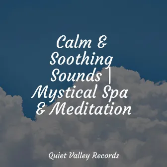 Calm & Soothing Sounds | Mystical Spa & Meditation by Rain Shower Spa