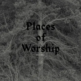 Places of Worship by Arve Henriksen