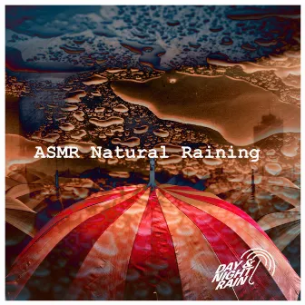 ASMR Natural Raining by Day & Night Rain