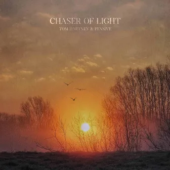 Chaser of Light by Pensive