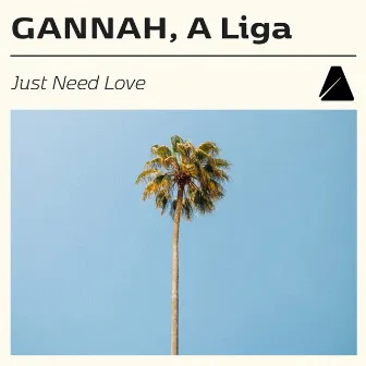 Just Need Love by A LIGA