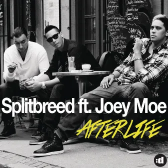 Afterlife (feat. Joey Moe) by SPLITBREED