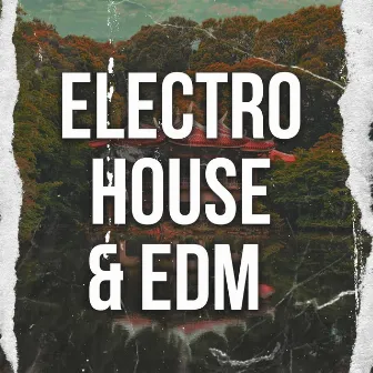 Electro House & Edm by BASS HOUSE