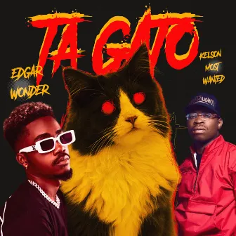 Ta Gato by Edgar Wonder