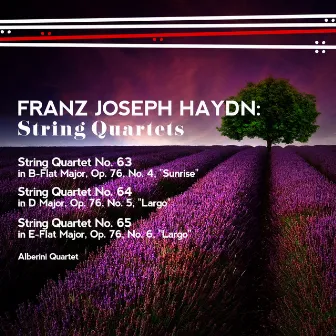 Franz Joseph Haydn: String Quartets by Alberini Quartet