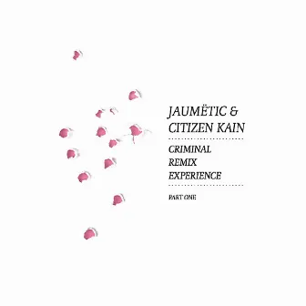 Criminal Remix Experience Part 1 by Jaumetic