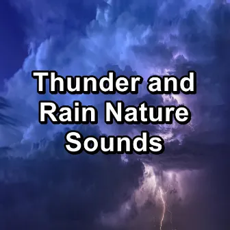 Thunder and Rain Nature Sounds by Rainy Mood