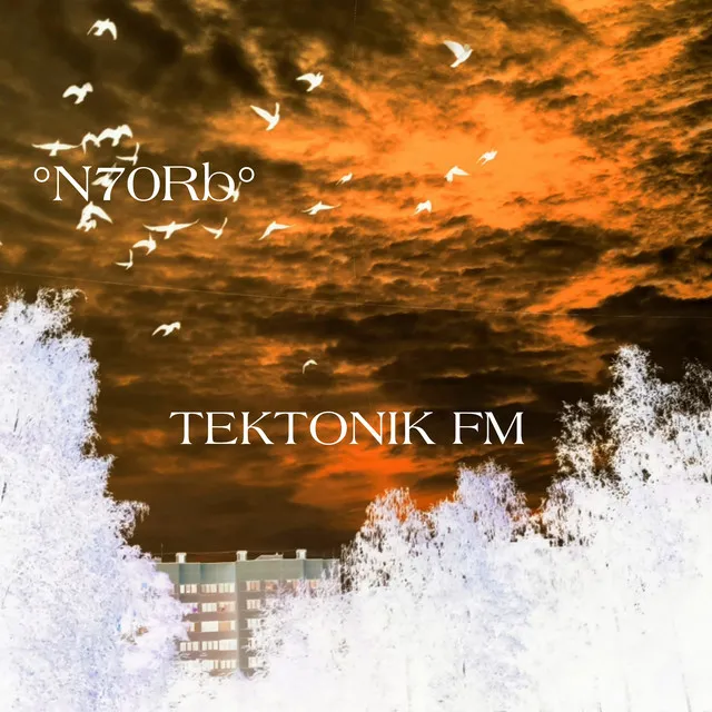 Tektonik Fm